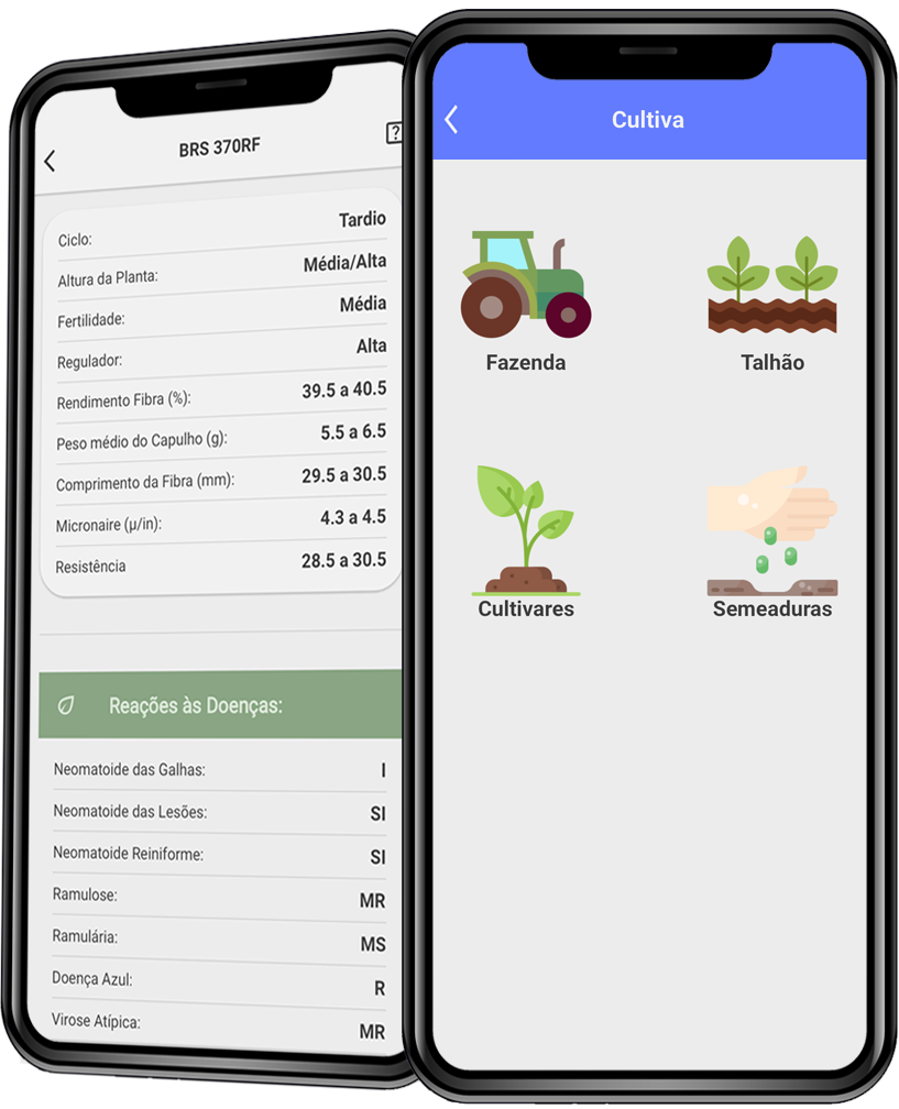 Tela do app Cultiva mostrando informações de cultivares de algodão